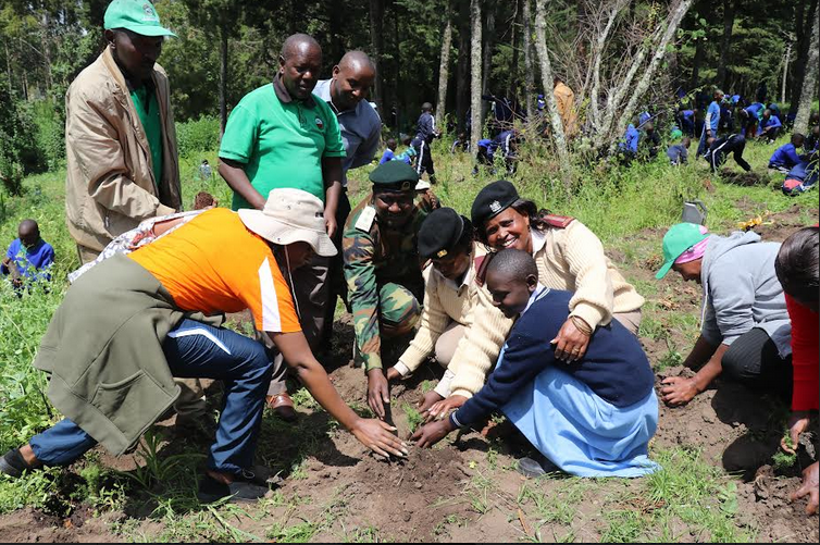 Tree planting